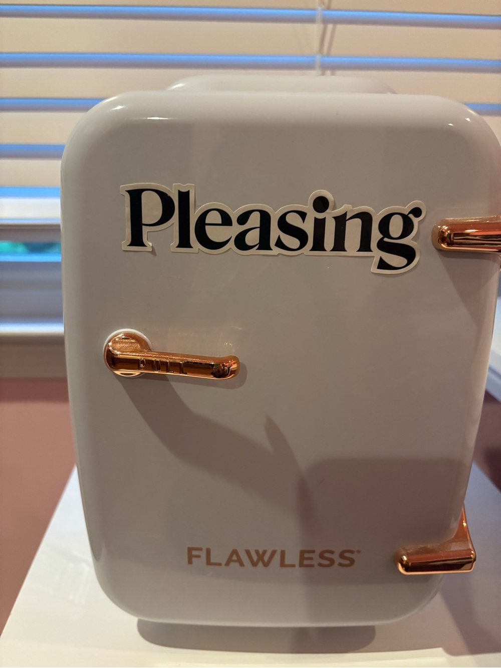 Flawless mini fridge for cosmetics